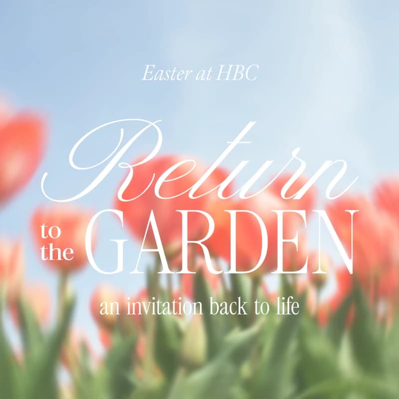 Easter is a story of life returning where hope once seemed lost.